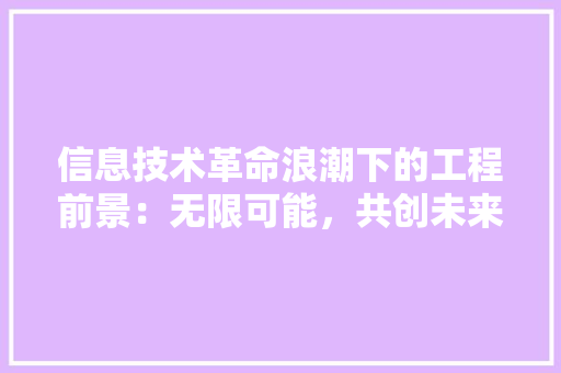 信息技术革命浪潮下的工程前景：无限可能，共创未来 家居装修