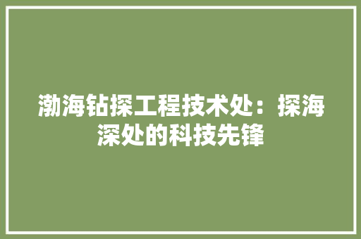 渤海钻探工程技术处：探海深处的科技先锋 室内设计