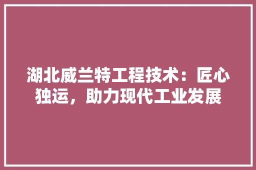 湖北威兰特工程技术：匠心独运，助力现代工业发展 室内设计