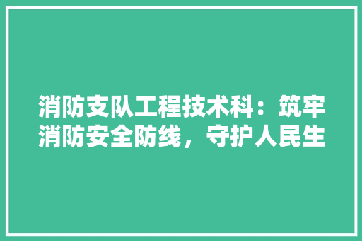 消防支队工程技术科：筑牢消防安全防线，守护人民生命财产安全 室内设计