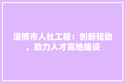 淄博市人社工程：创新驱动，助力人才高地建设 室内设计