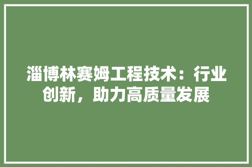 淄博林赛姆工程技术：行业创新，助力高质量发展 室内设计