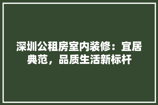 深圳公租房室内装修：宜居典范，品质生活新标杆 室内设计