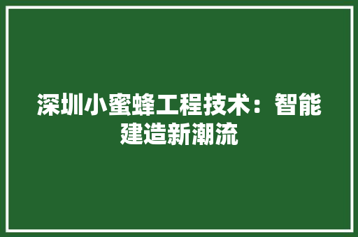 深圳小蜜蜂工程技术：智能建造新潮流