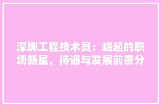 深圳工程技术员：崛起的职场新星，待遇与发展前景分析 室内设计