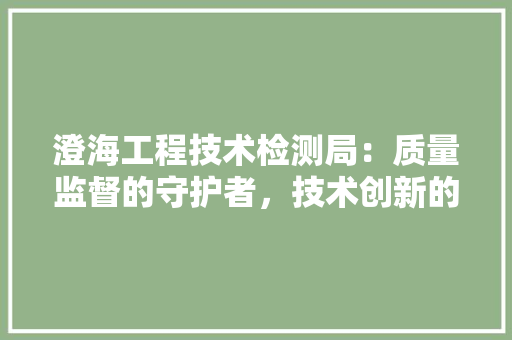 澄海工程技术检测局：质量监督的守护者，技术创新的推动者 室内设计