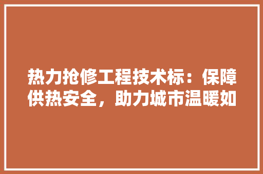 热力抢修工程技术标：保障供热安全，助力城市温暖如春 室内设计