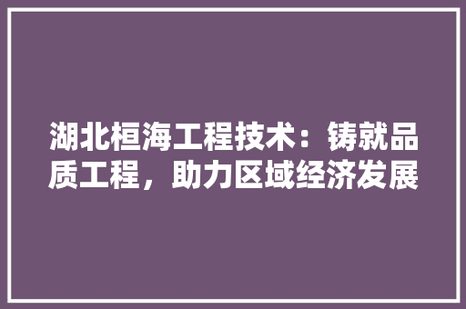 湖北桓海工程技术：铸就品质工程，助力区域经济发展 室内设计