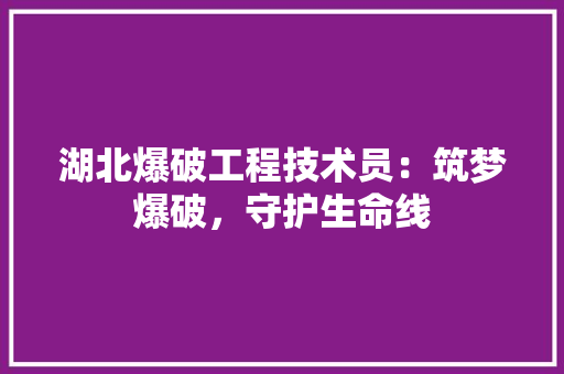 湖北爆破工程技术员：筑梦爆破，守护生命线 室内设计