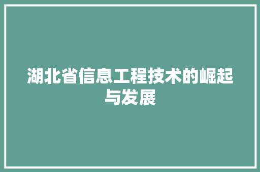 湖北省信息工程技术的崛起与发展 室内设计