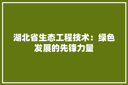 湖北省生态工程技术：绿色发展的先锋力量 室内设计