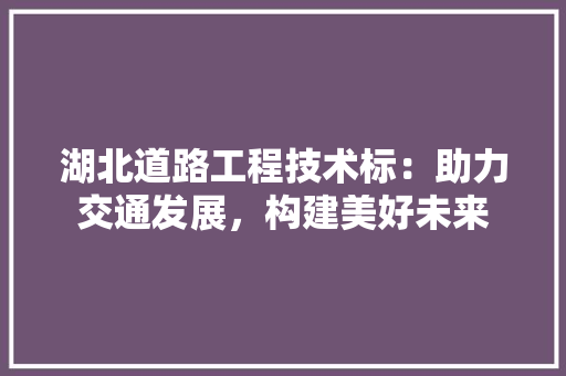 湖北道路工程技术标：助力交通发展，构建美好未来 室内设计