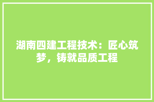 湖南四建工程技术：匠心筑梦，铸就品质工程 室内设计