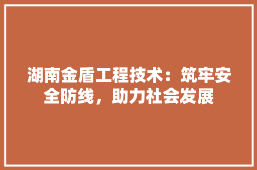 湖南金盾工程技术：筑牢安全防线，助力社会发展 室内设计
