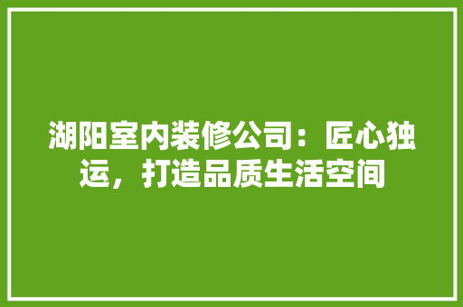 湖阳室内装修公司：匠心独运，打造品质生活空间 室内设计