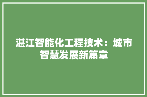 湛江智能化工程技术：城市智慧发展新篇章 室内设计