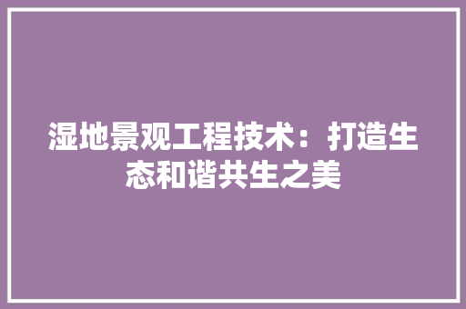 湿地景观工程技术：打造生态和谐共生之美