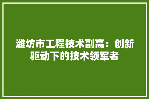 潍坊市工程技术副高：创新驱动下的技术领军者