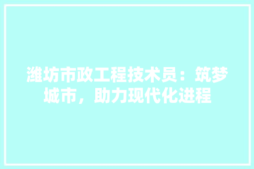 潍坊市政工程技术员：筑梦城市，助力现代化进程