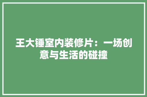 王大锤室内装修片：一场创意与生活的碰撞 室内设计
