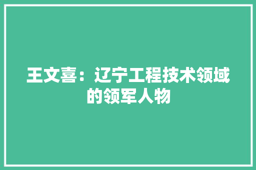 王文喜：辽宁工程技术领域的领军人物 室内设计