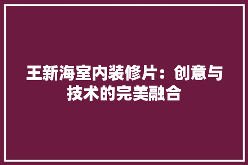 王新海室内装修片：创意与技术的完美融合 室内设计