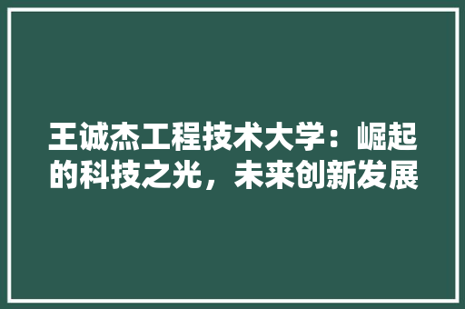 王诚杰工程技术大学：崛起的科技之光，未来创新发展 室内设计