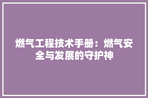 燃气工程技术手册：燃气安全与发展的守护神 室内设计