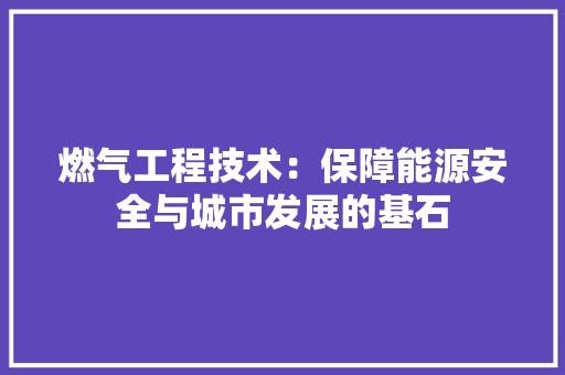 燃气工程技术：保障能源安全与城市发展的基石 室内设计