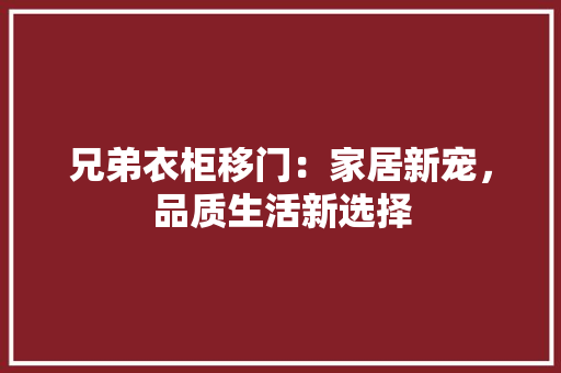 兄弟衣柜移门：家居新宠，品质生活新选择 家居装修