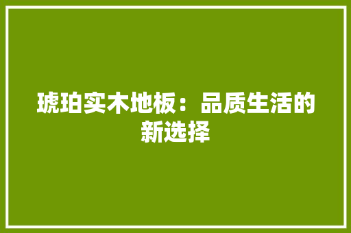琥珀实木地板：品质生活的新选择 室内设计