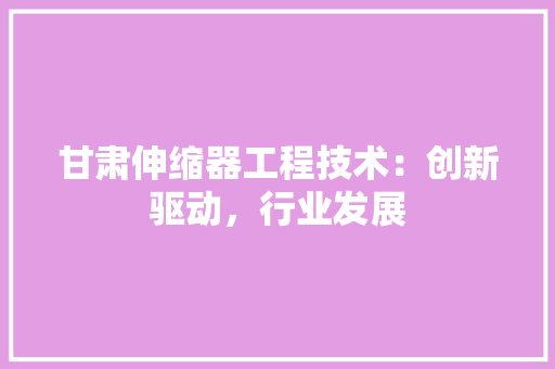 甘肃伸缩器工程技术：创新驱动，行业发展