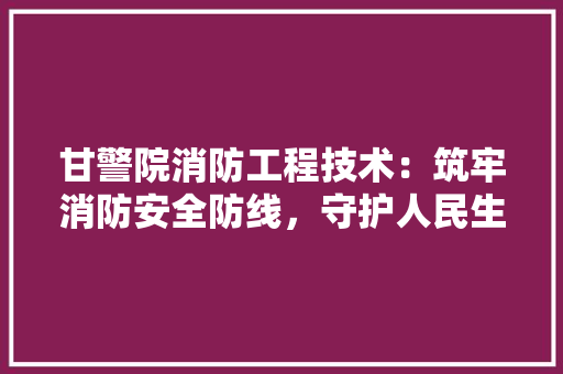 甘警院消防工程技术：筑牢消防安全防线，守护人民生命财产安全 室内设计