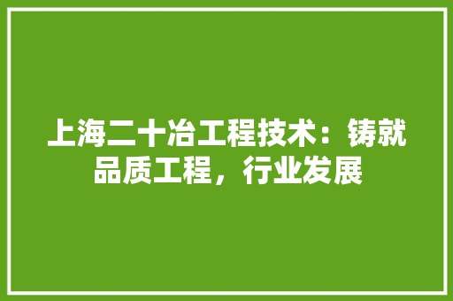 上海二十冶工程技术：铸就品质工程，行业发展 地板材料