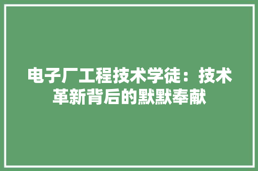 电子厂工程技术学徒：技术革新背后的默默奉献