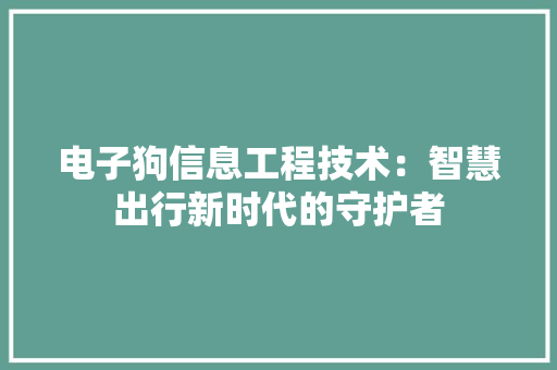 电子狗信息工程技术：智慧出行新时代的守护者