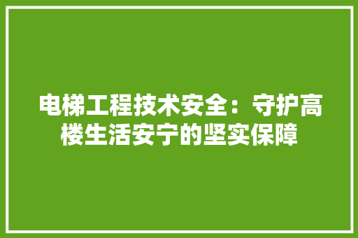 电梯工程技术安全：守护高楼生活安宁的坚实保障 室内设计