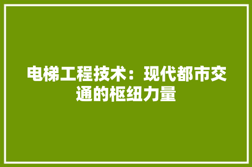电梯工程技术：现代都市交通的枢纽力量 室内设计