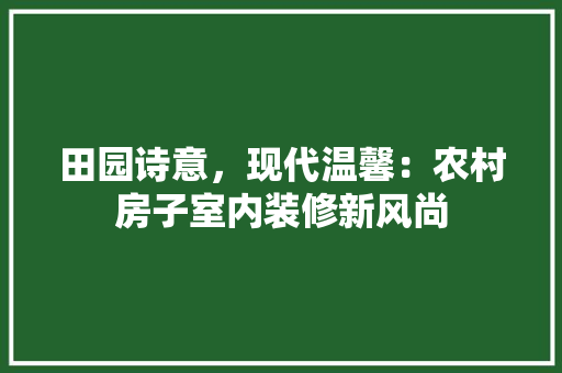 田园诗意，现代温馨：农村房子室内装修新风尚 室内设计