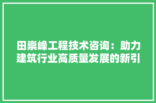 田崇峰工程技术咨询：助力建筑行业高质量发展的新引擎 室内设计