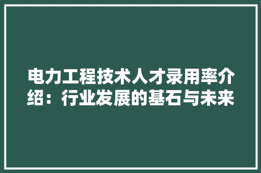 电力工程技术人才录用率介绍：行业发展的基石与未来展望 室内设计