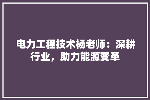电力工程技术杨老师：深耕行业，助力能源变革