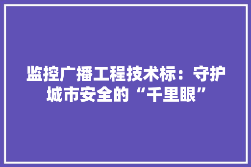 监控广播工程技术标：守护城市安全的“千里眼”