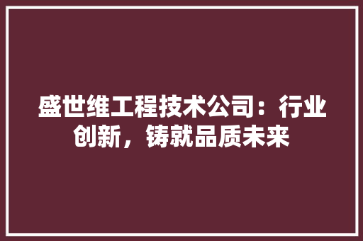 盛世维工程技术公司：行业创新，铸就品质未来 室内设计
