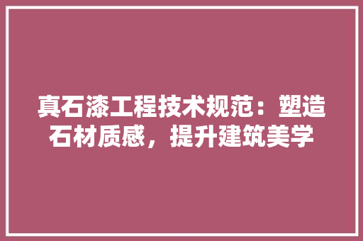 真石漆工程技术规范：塑造石材质感，提升建筑美学 室内设计