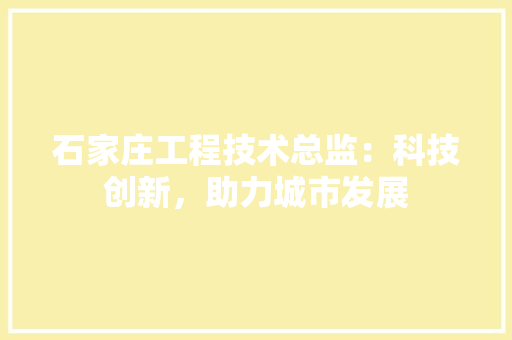 石家庄工程技术总监：科技创新，助力城市发展 室内设计