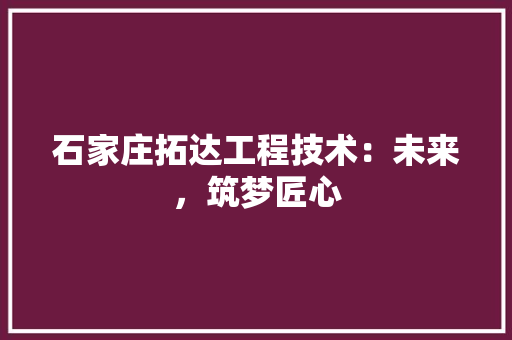 石家庄拓达工程技术：未来，筑梦匠心 室内设计