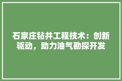 石家庄钻井工程技术：创新驱动，助力油气勘探开发 室内设计