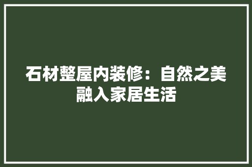 石材整屋内装修：自然之美融入家居生活 室内设计