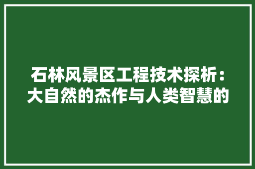 石林风景区工程技术探析：大自然的杰作与人类智慧的结晶 室内设计